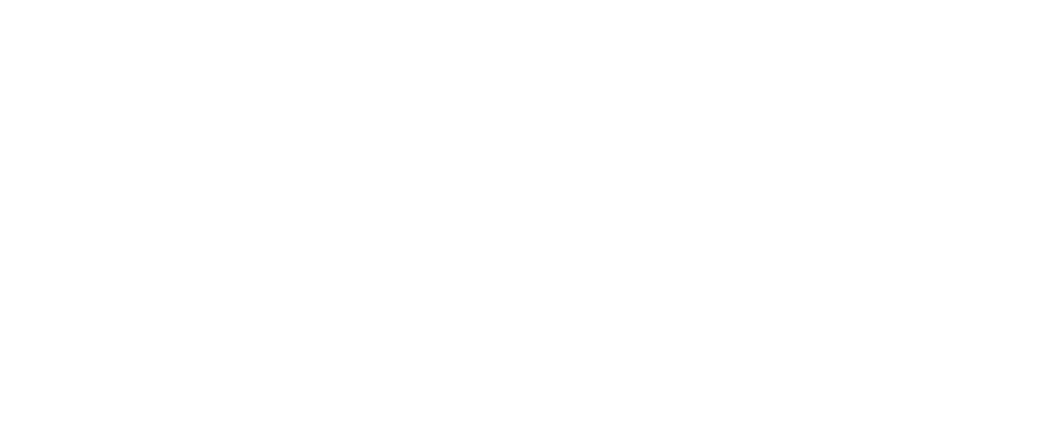 BVF_Logo_weiss_freigestellt